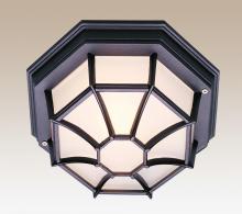  40582 BK - Benkert 1-Light, Weblike Design, Enclosed Flush Mount Ceiling Lantern Light